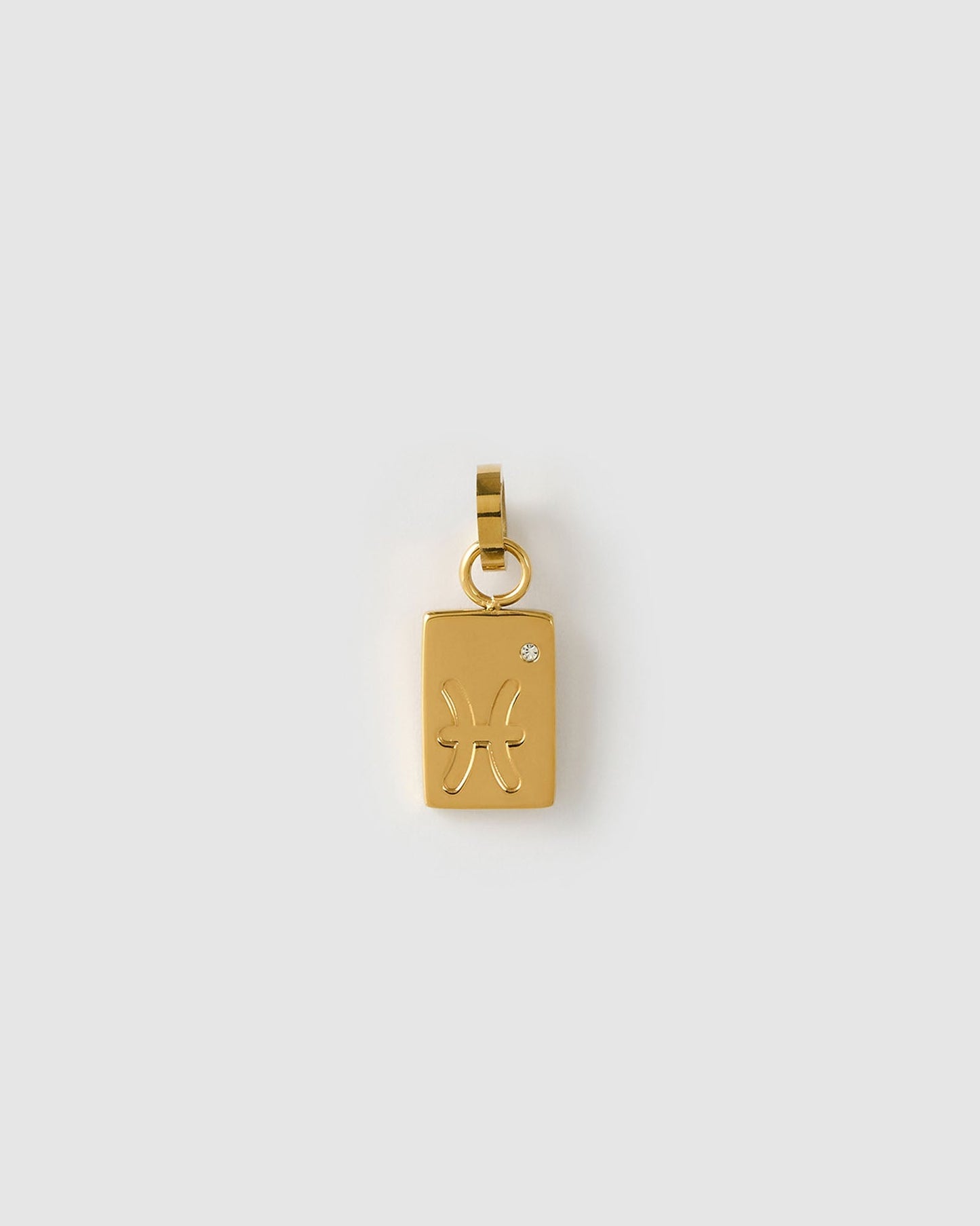 Zodiac Tag Charm