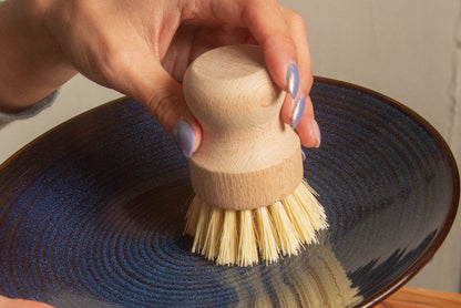 CASA AGAVE® Dish Brush White Teakwood - No Tox Life