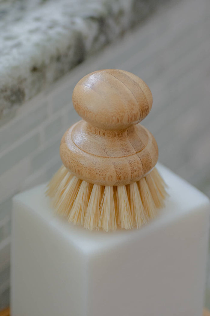 CASA AGAVE® Dish Washing Brush - No Tox Life