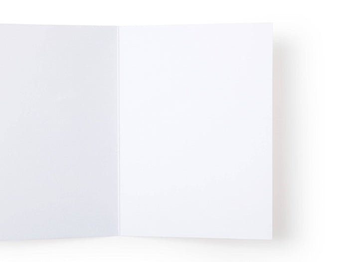 Howdy From Texas Greeting Card
