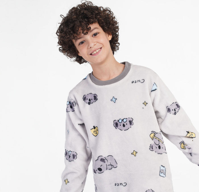 Koala fur