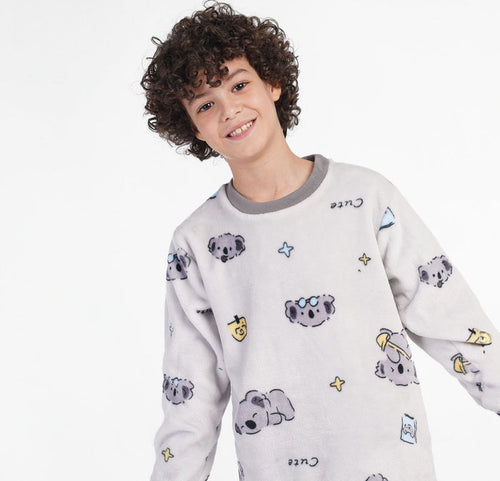 Koala fur