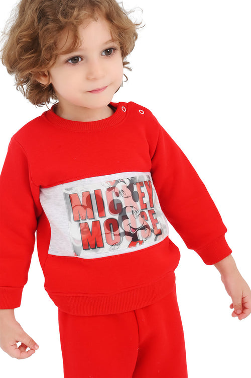 Mickey Mouse tipper