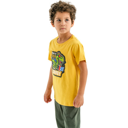 The dinosaur first grade